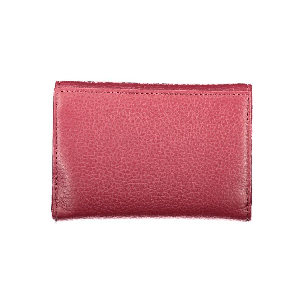 Coccinelle Purple Leather Women Wallet CO-39559