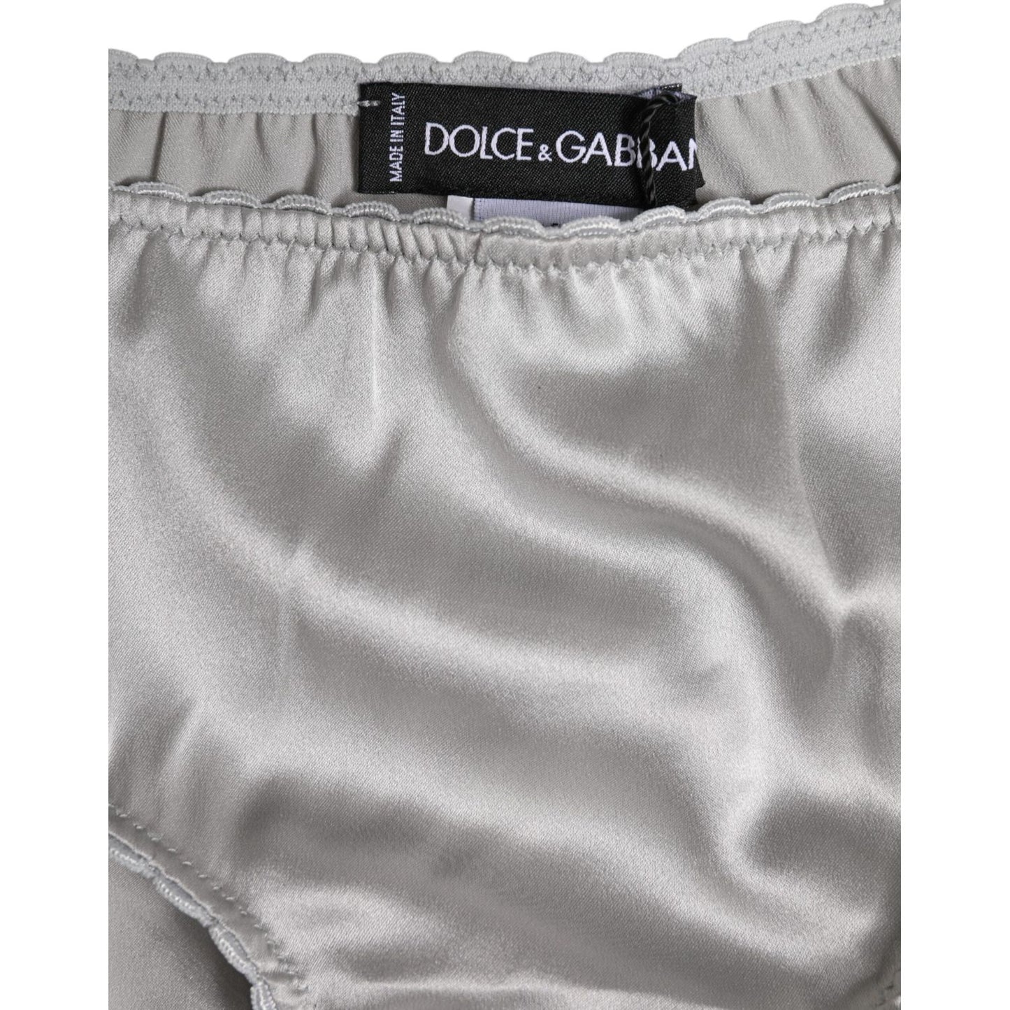 Dolce & Gabbana Gray Silk Stretch Bottom Low Waist Panty Underwear BIK1304-2