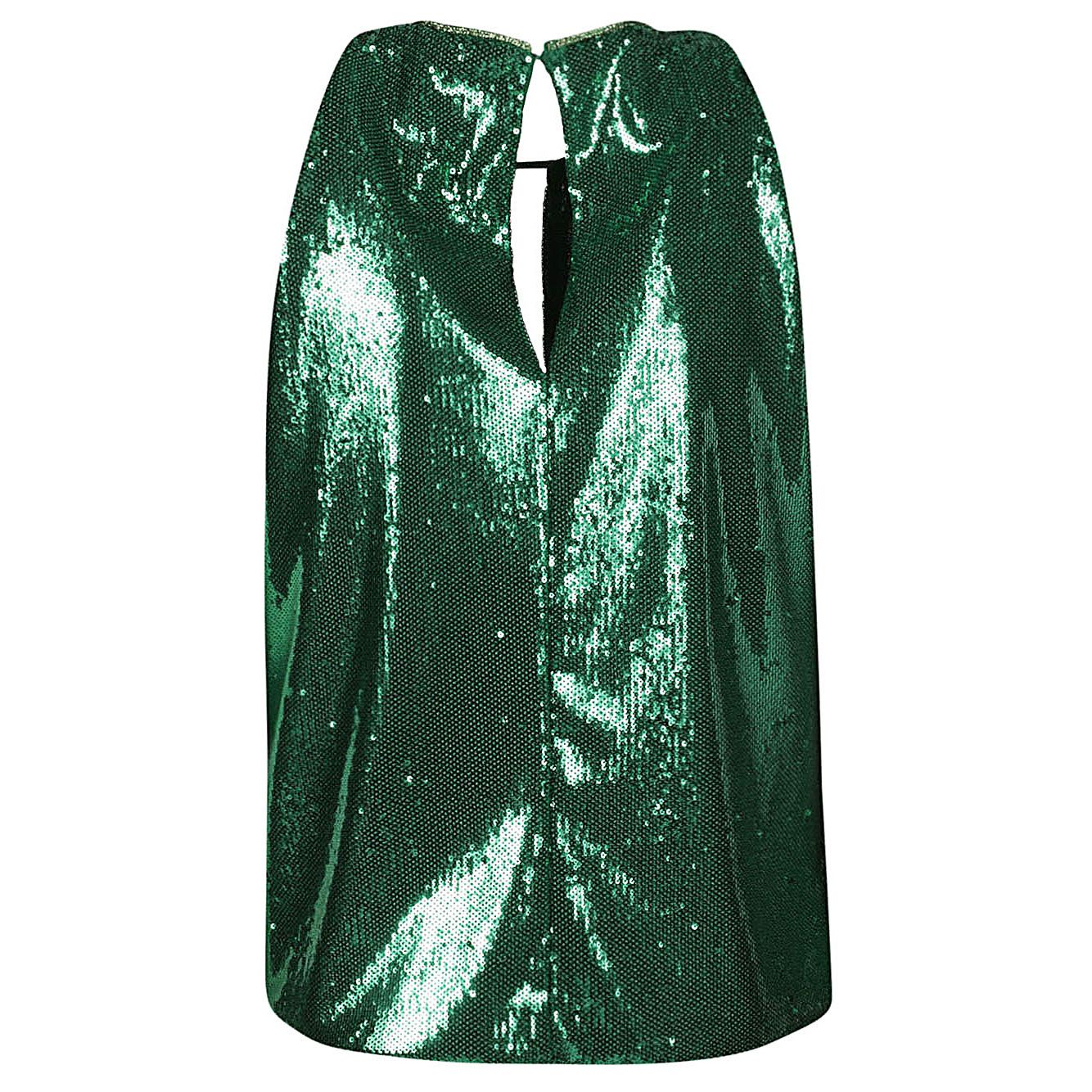 DAHLO Top Green Topwear