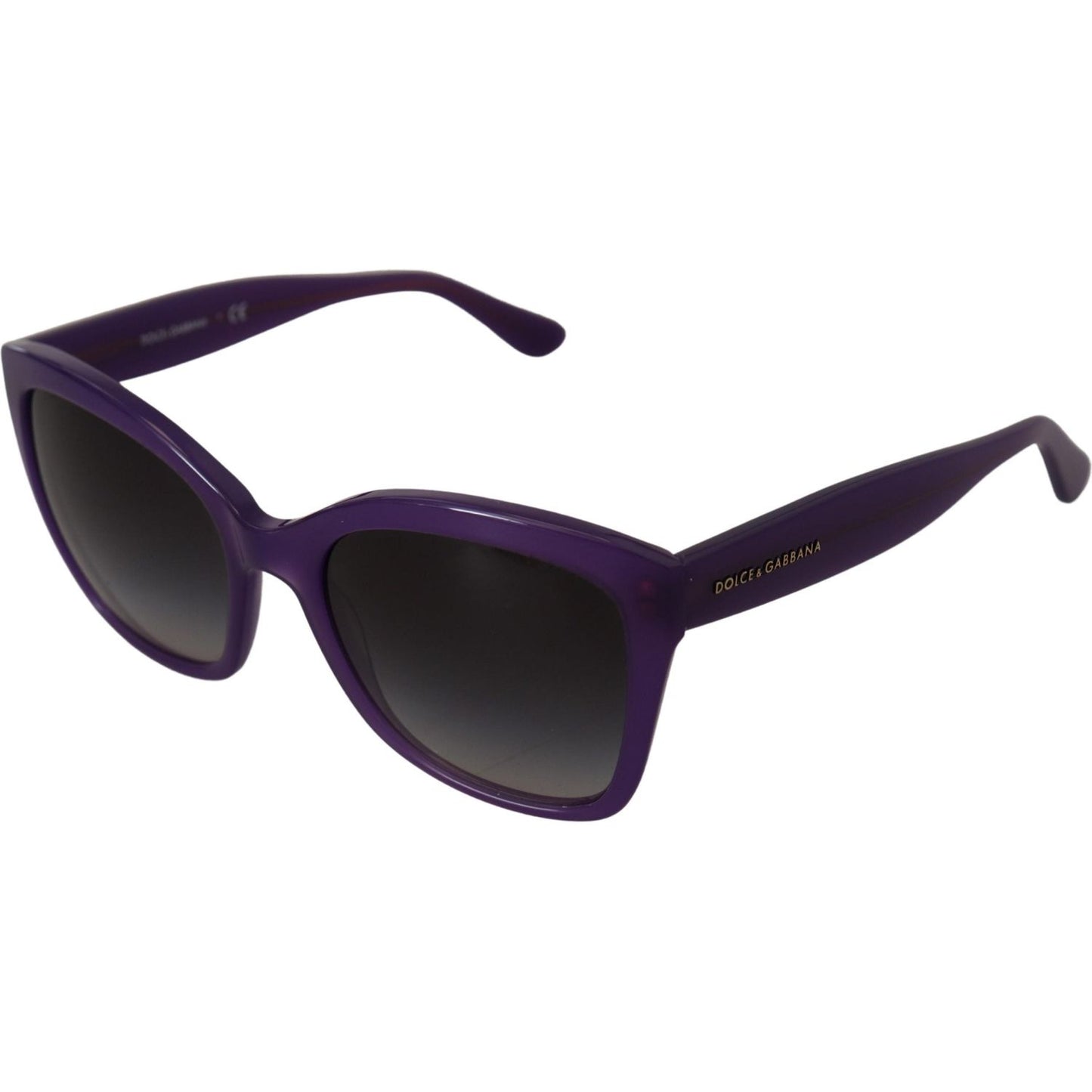 Dolce & Gabbana Purple Acetate Square Full Rim DG4240 Sunglasses