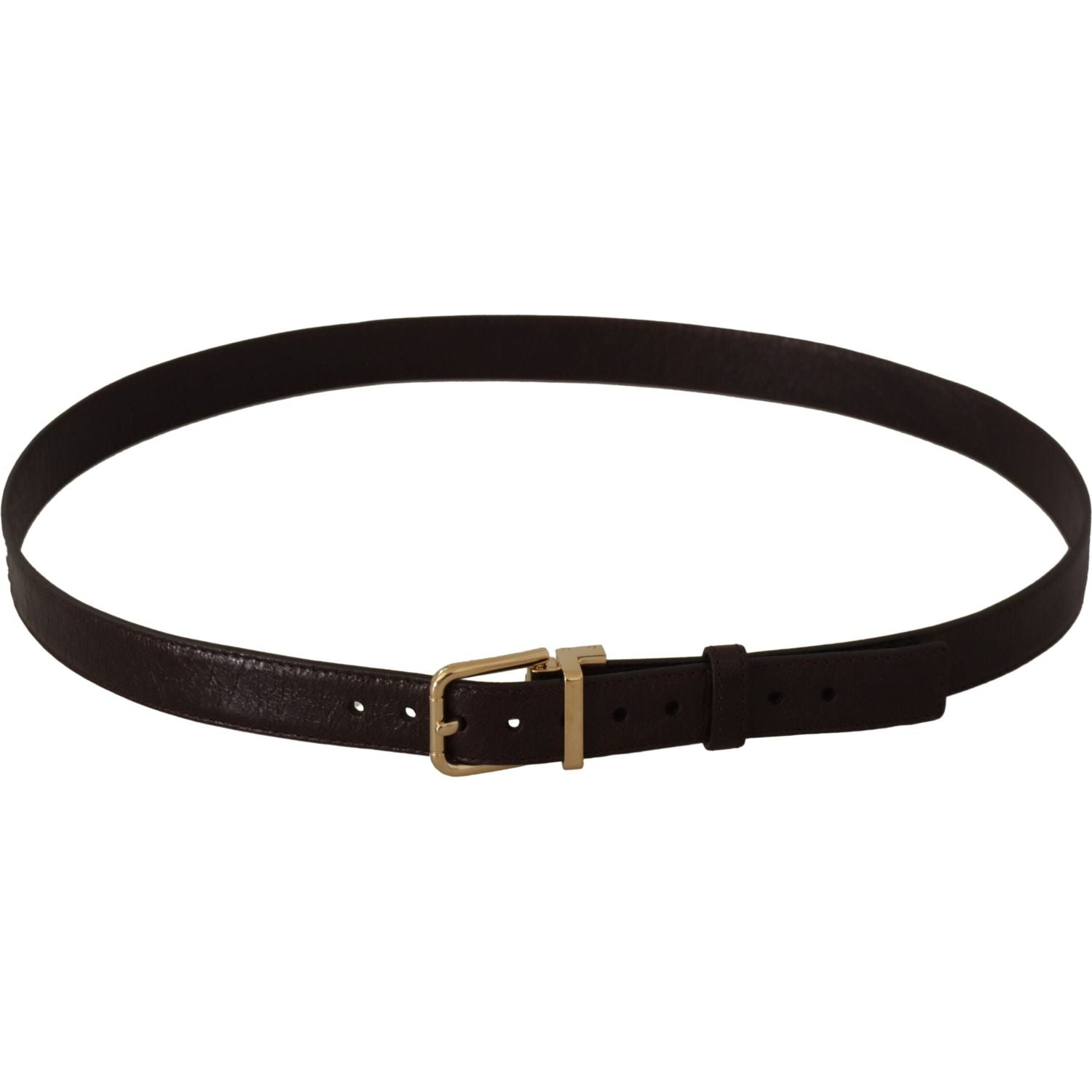 Dolce & Gabbana Brown Leather Gold Metal Buckle Belt