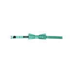Dolce & Gabbana Mint Green Silk Adjustable Neck Men Bow Tie FT3914